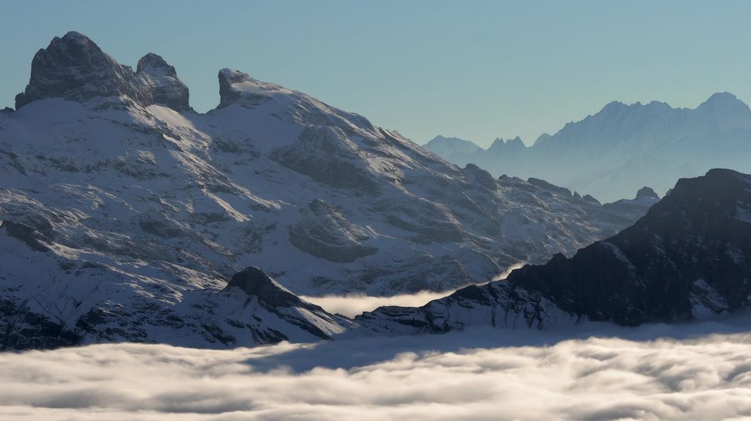 일반영상-반론영상-재반론영상