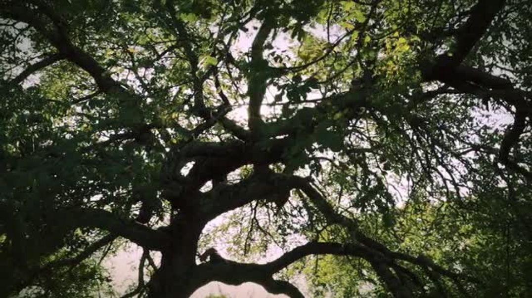 일반영상1-재반론2-재재반론1